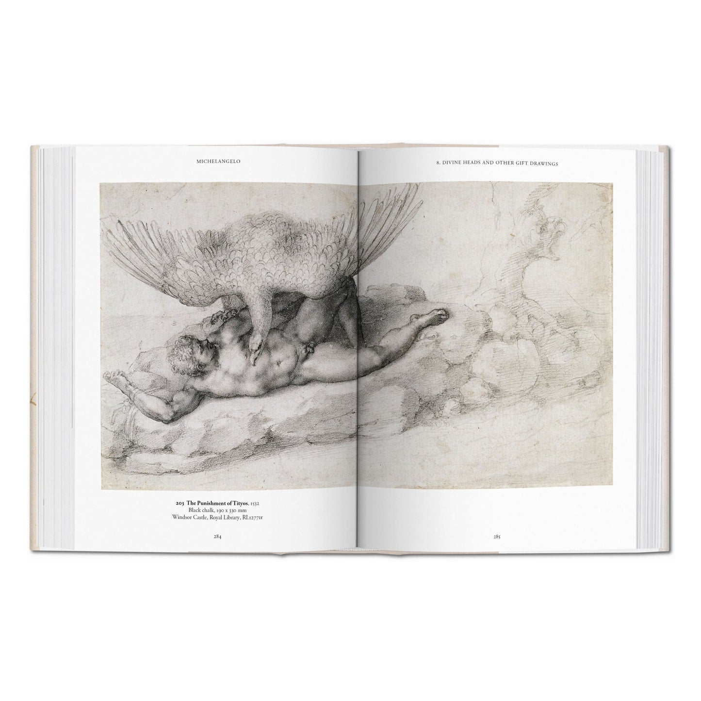 Michel-Ange. L'œuvre graphique (French)