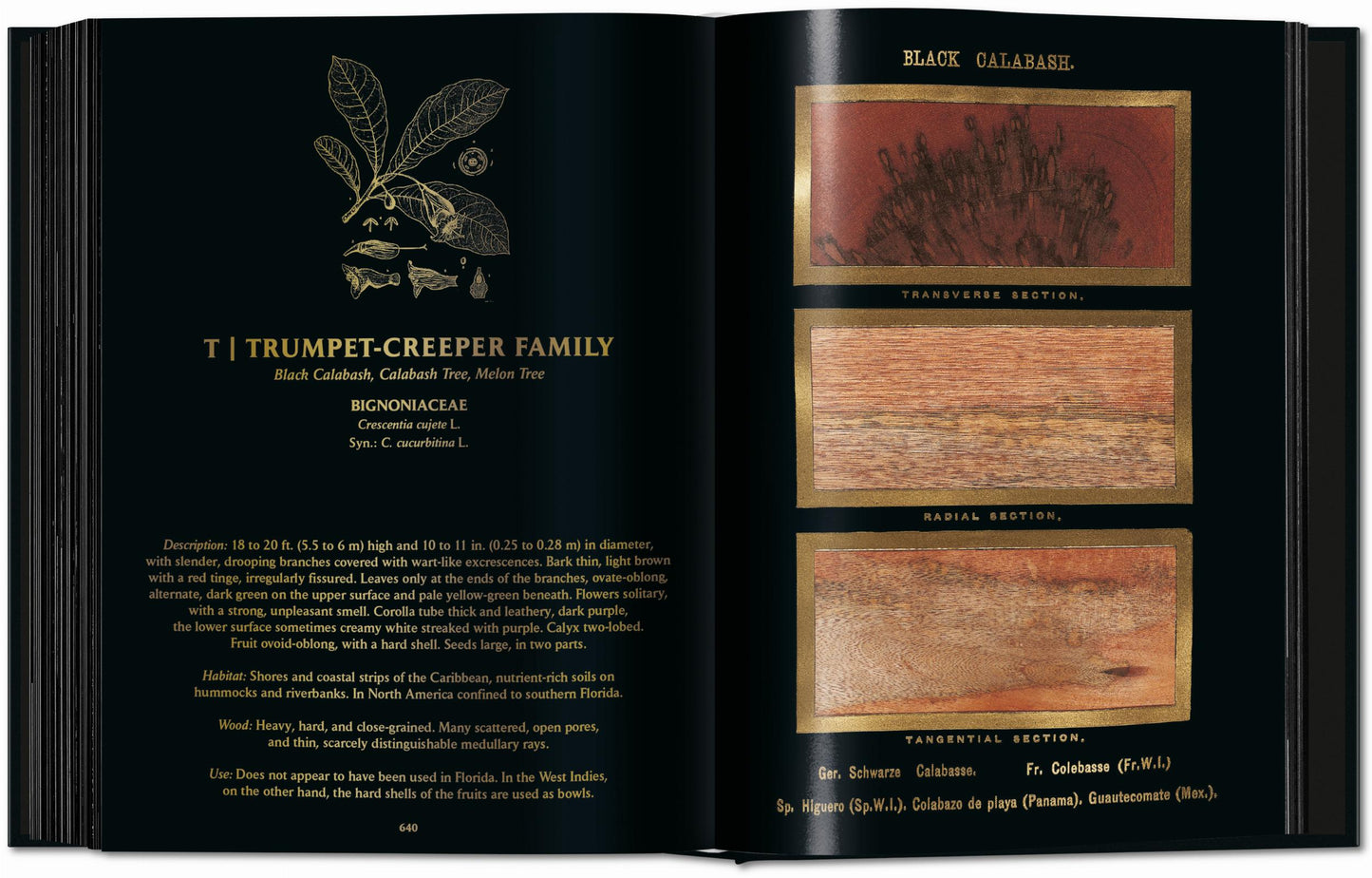 Romeyn B. Hough. The Woodbook. The Complete Plates (English)