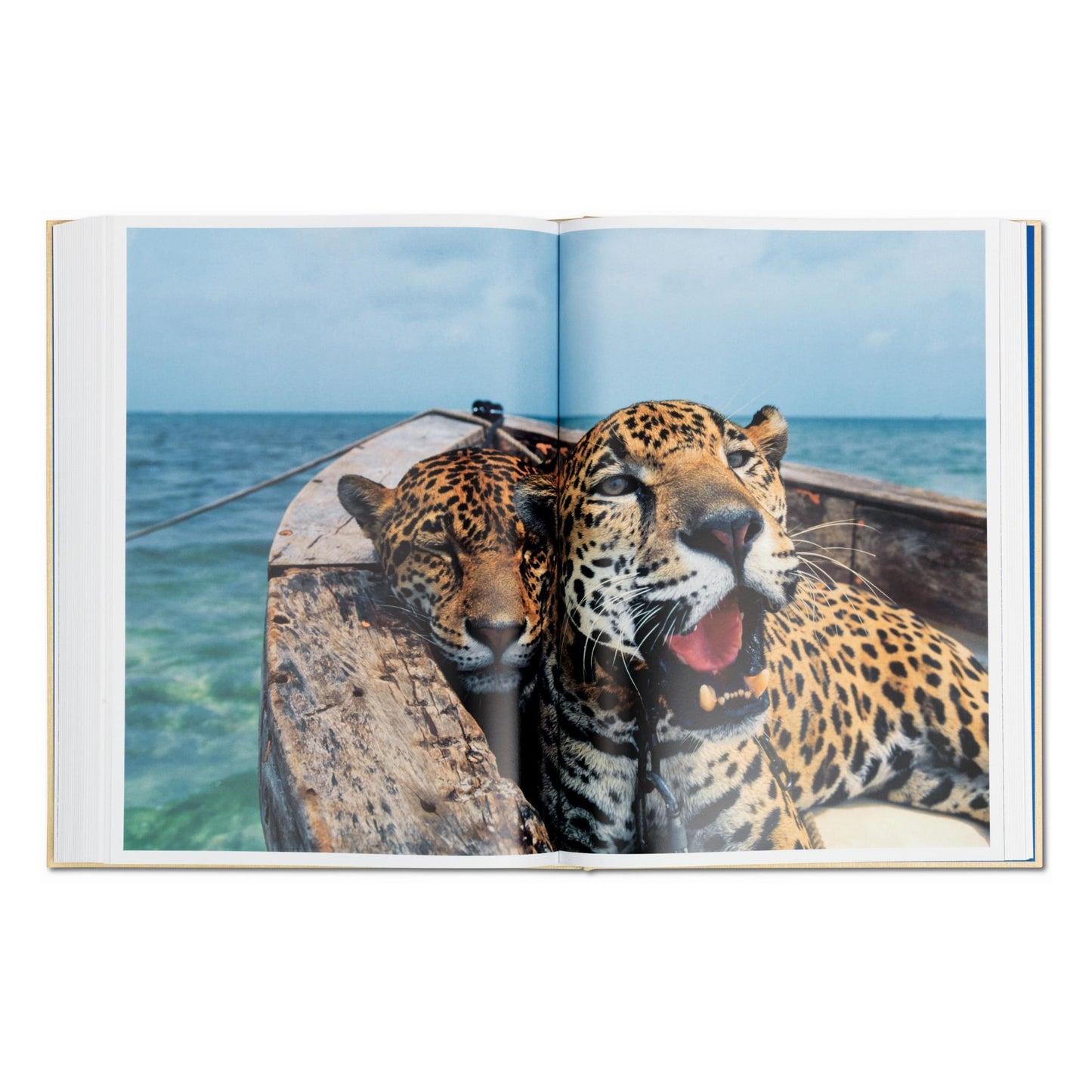 National Geographic. Around the World in 125 Years (English)