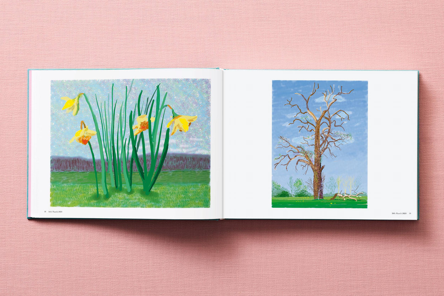 David Hockney. 220 for 2020 (English)