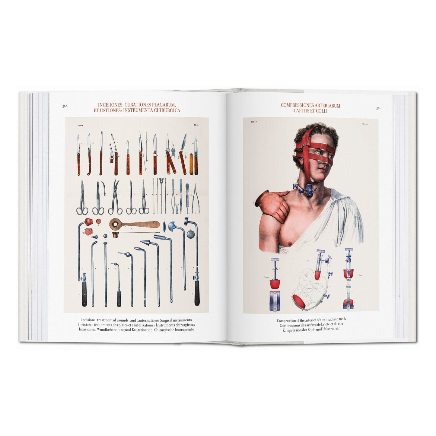 Bourgery. Atlas de anatomía humana y cirugía (Spanish, Italian, Portuguese)