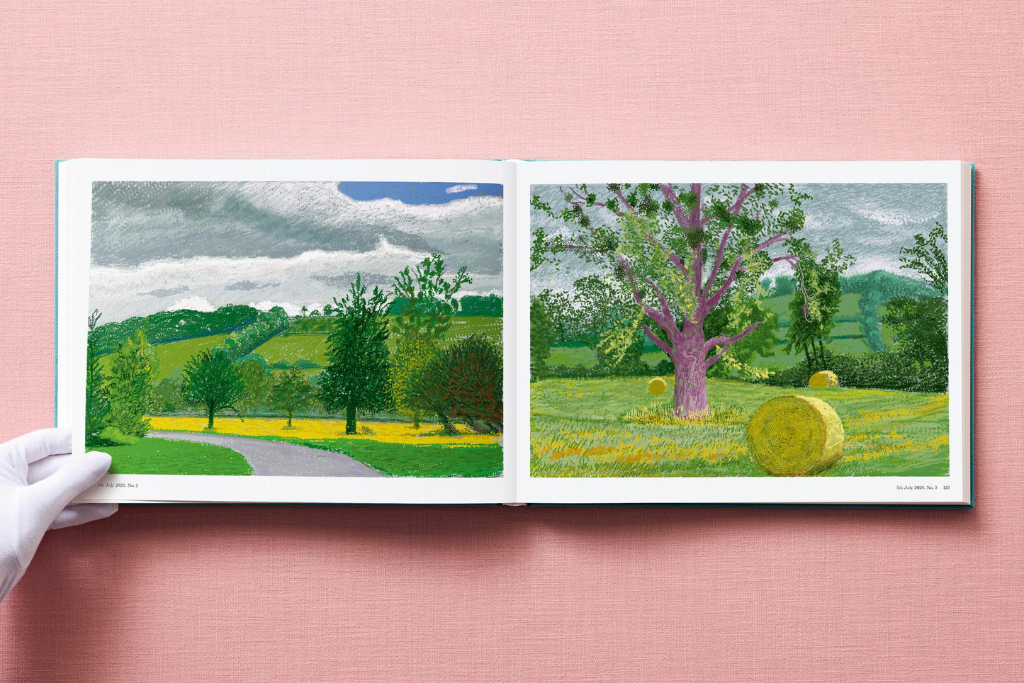 David Hockney. 220 for 2020 (English)