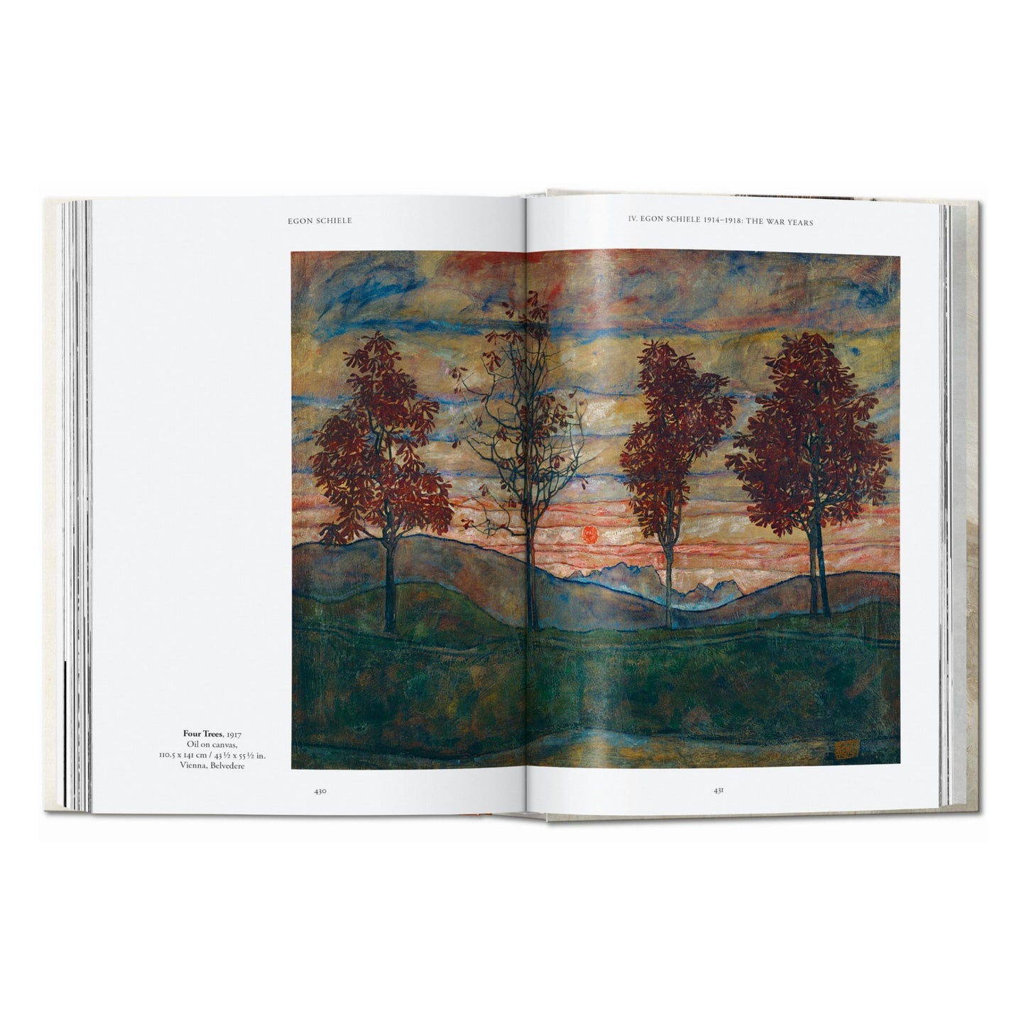 Egon Schiele. Les peintures. 40th Ed. (French)