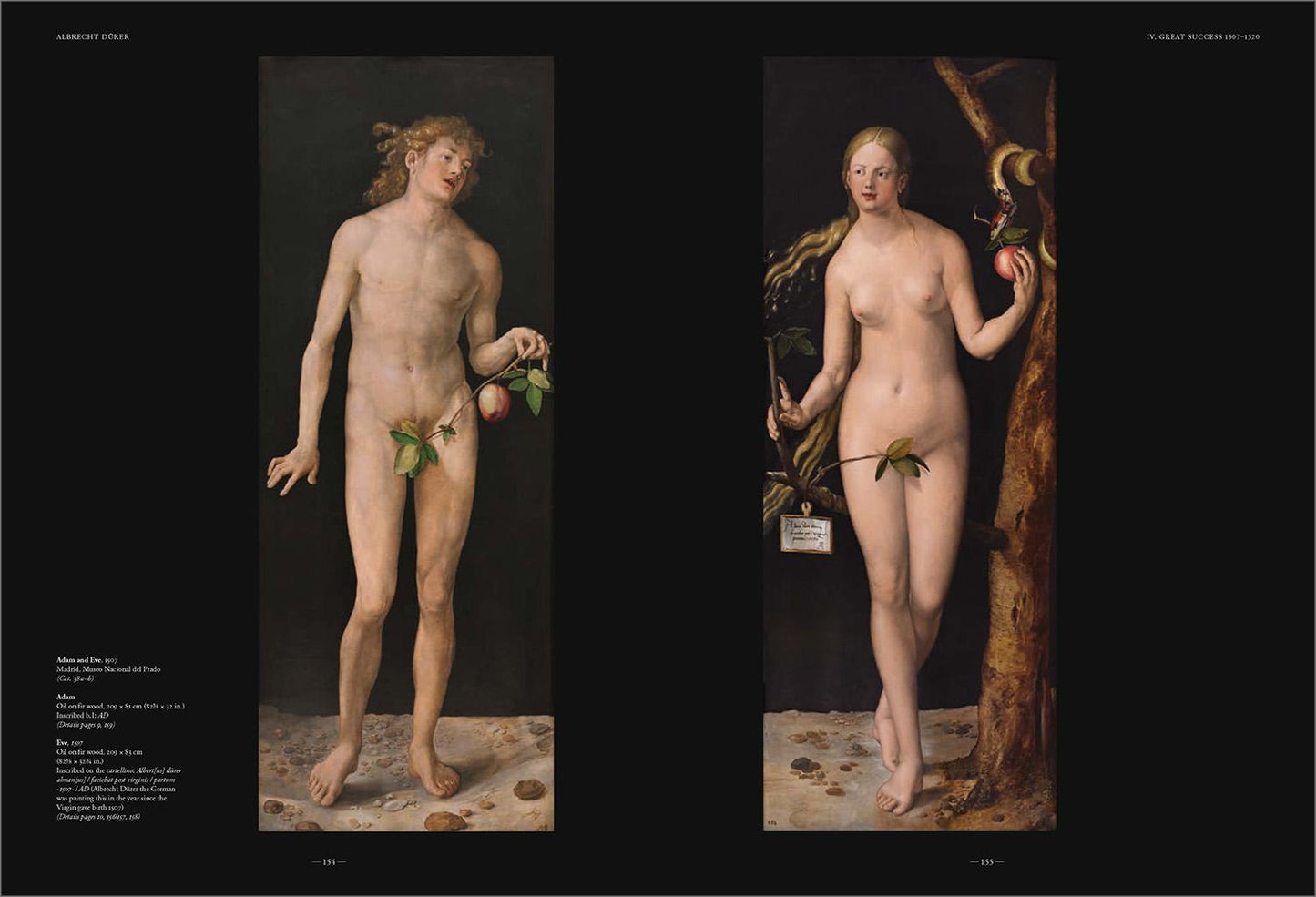 Albrecht Dürer. The Complete Paintings. Selected Drawings and Prints (English)