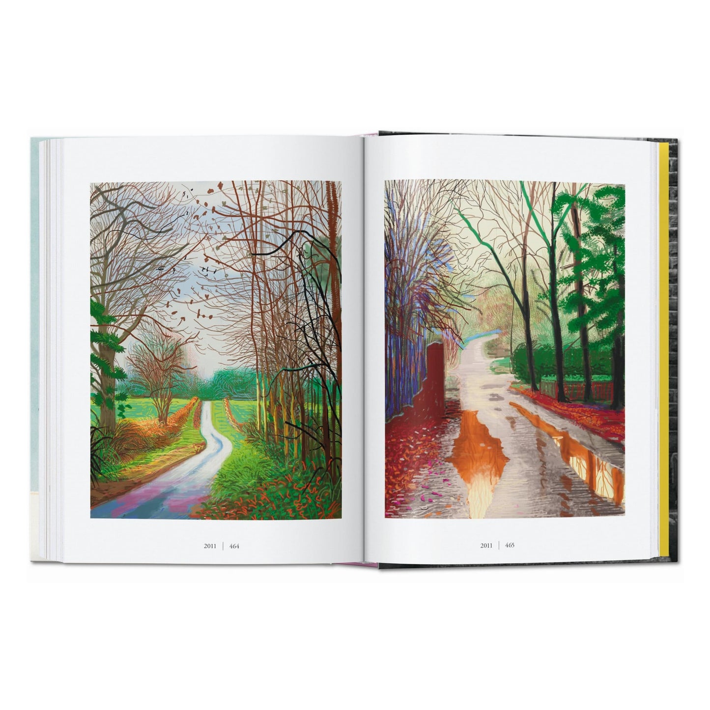 David Hockney. Una cronología. 45th Ed. (Spanish)
