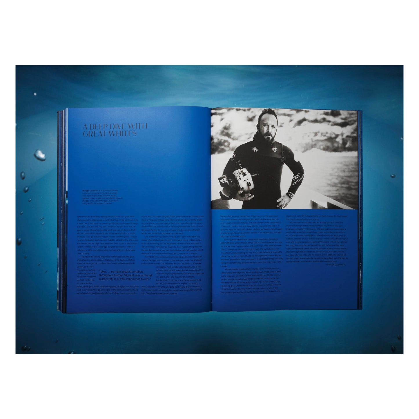 Michael Muller. Sharks, Art Edition No. 101–200 ‘Under Study’ (English)