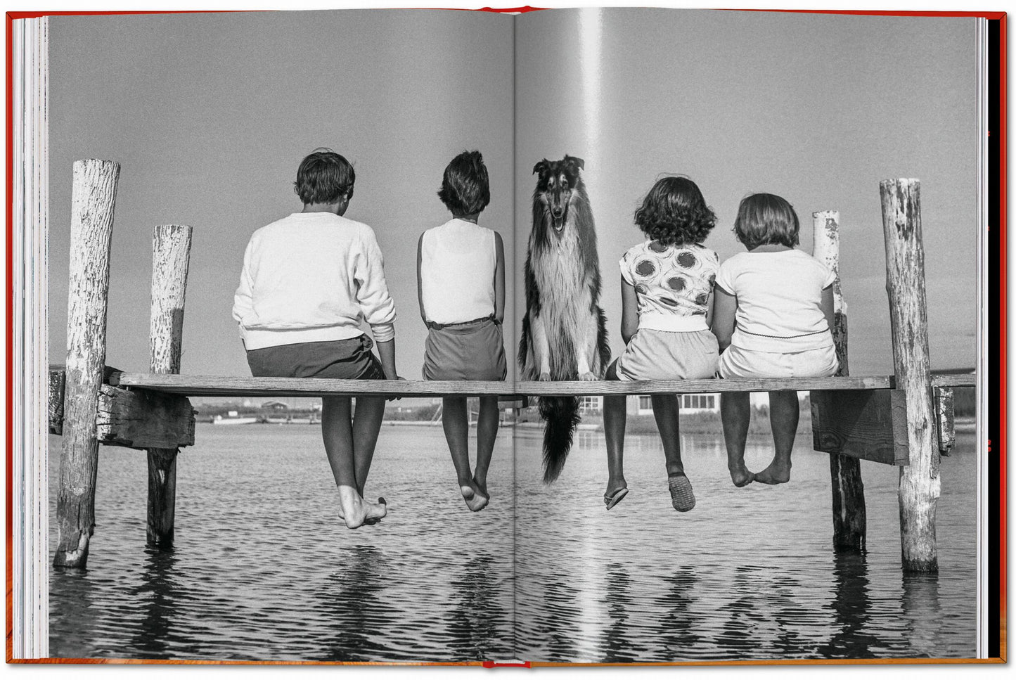 Walter Chandoha. Dogs. Photographs 1941–1991 (English)