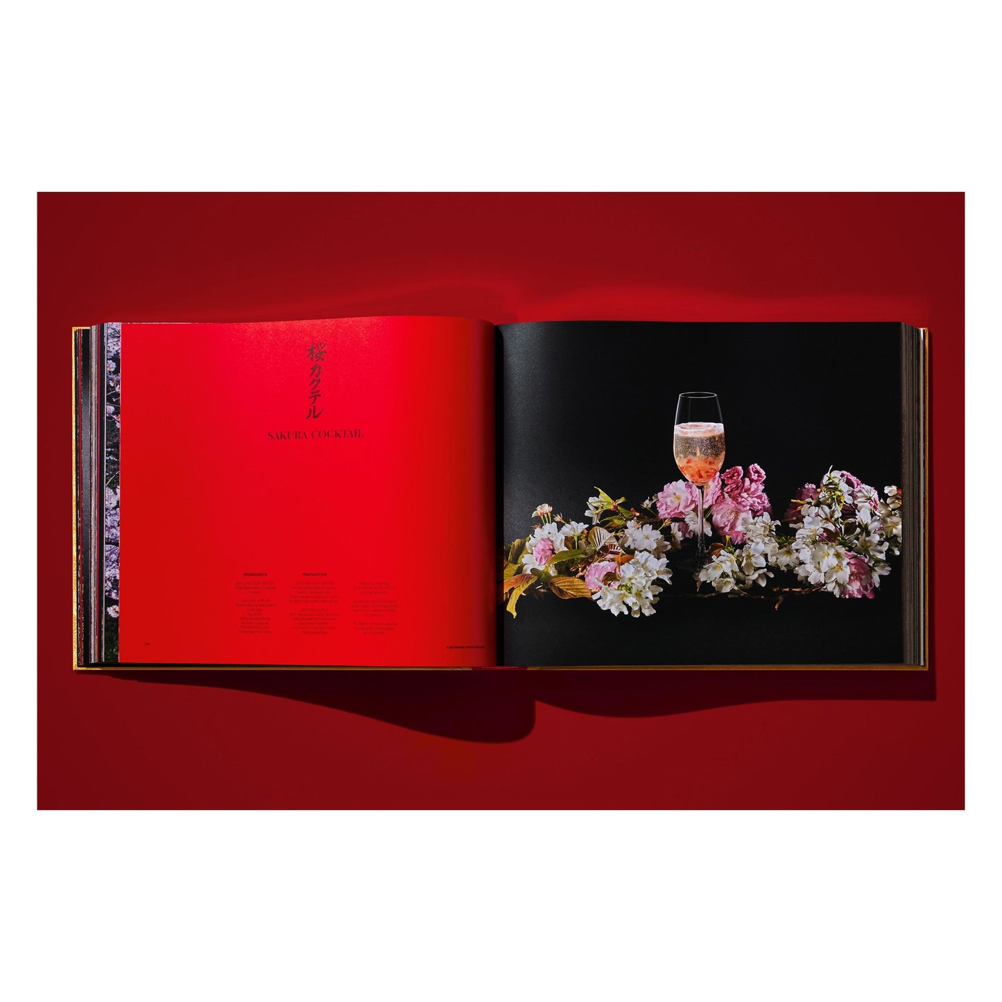 Yoshihiro Narisawa. Satoyama Cuisine (English) (SA)