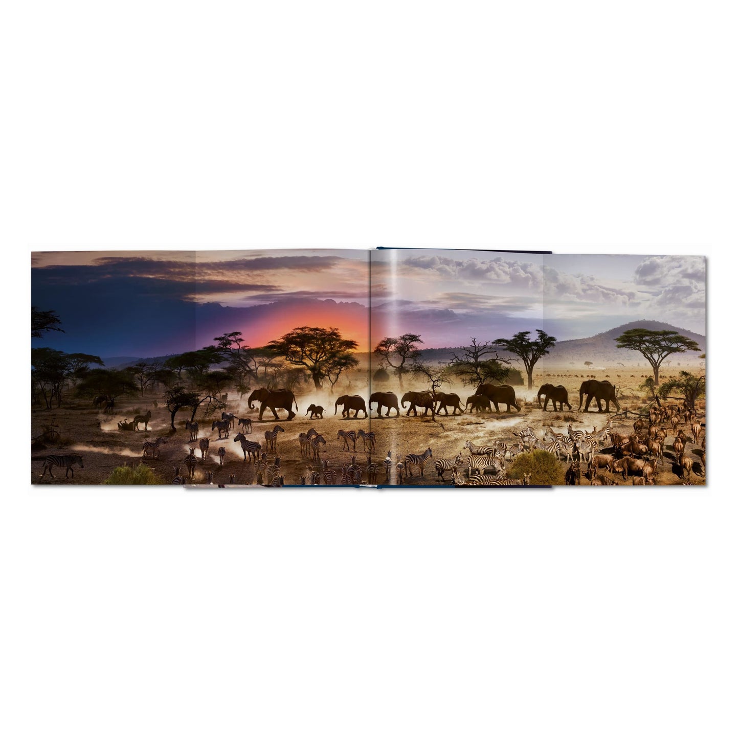 Stephen Wilkes. Day to Night (German, French, English)