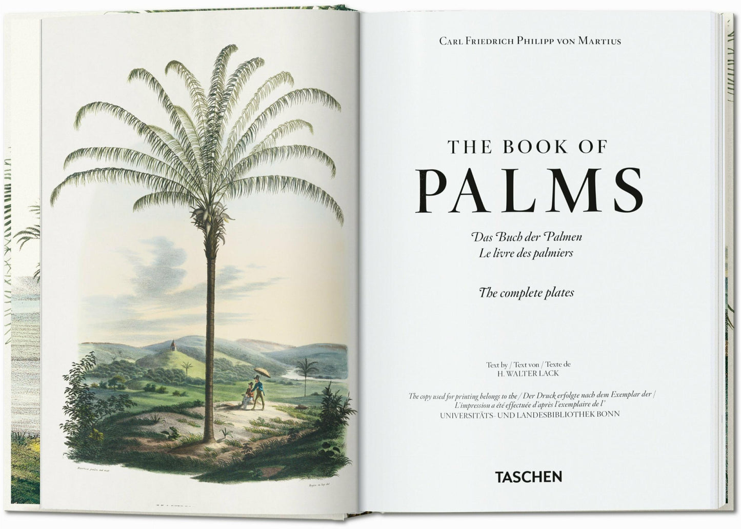 Martius. El libro de las palmeras. 45th Ed. (Spanish, Italian, Portuguese)