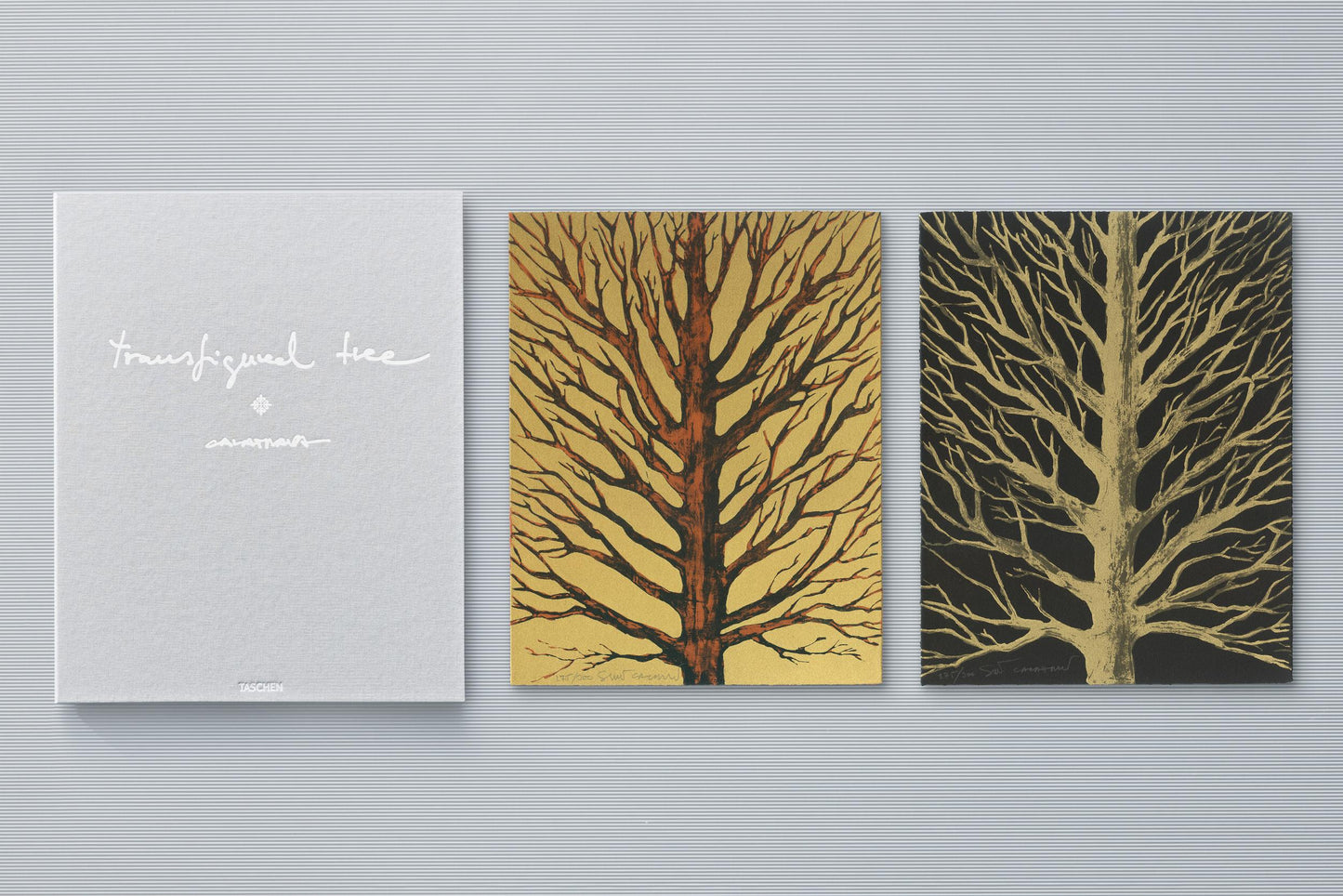 Calatrava. Complete Works 1979–Today. Art Edition 'Transfigured Tree. Messenger of Light', 2023 (German, French, English)