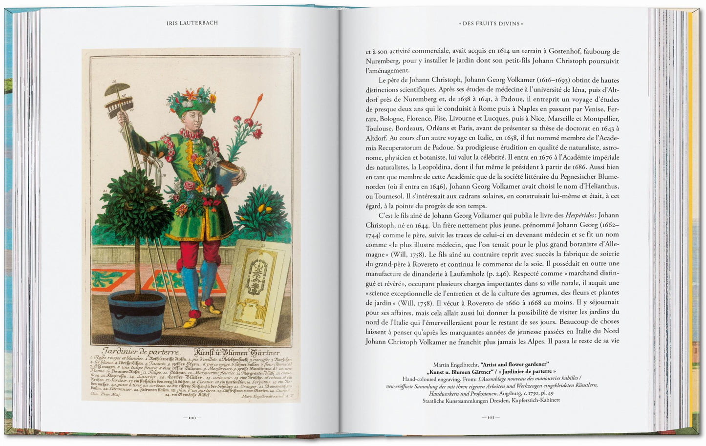 J. C. Volkamer. The Book of Citrus Fruits. 45th Ed. (German, French, English)