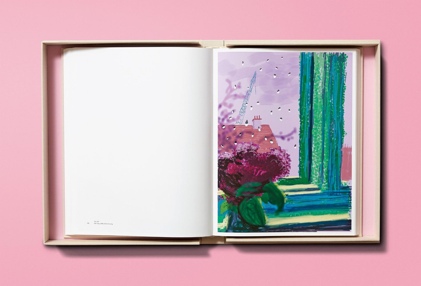 Hockney. My Window (English) (AP)