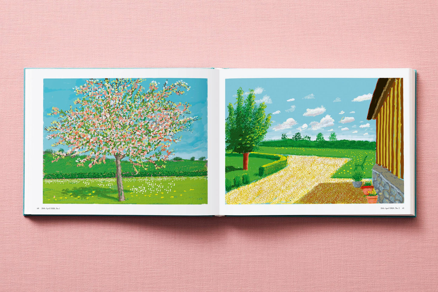David Hockney. 220 for 2020 (English)