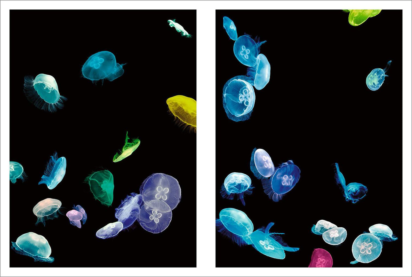 Albert Watson. Kaos (German, French, English)