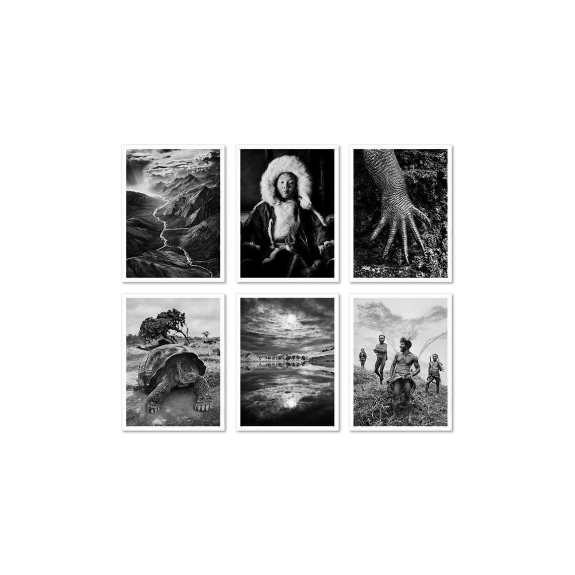 Sebastião Salgado. Genesis. Postcard Set (German, Spanish, French, English)