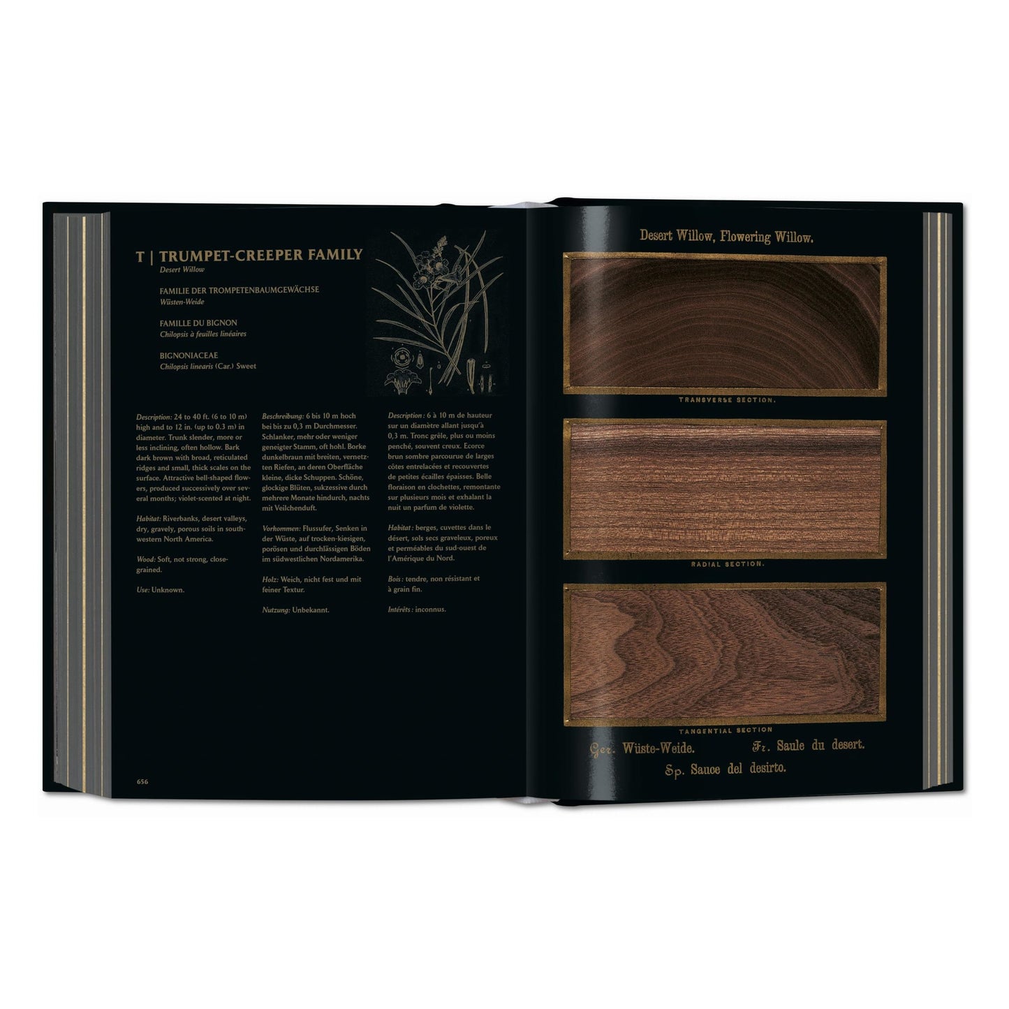 Romeyn B. Hough. The Woodbook. The Complete Plates (German, French, English)