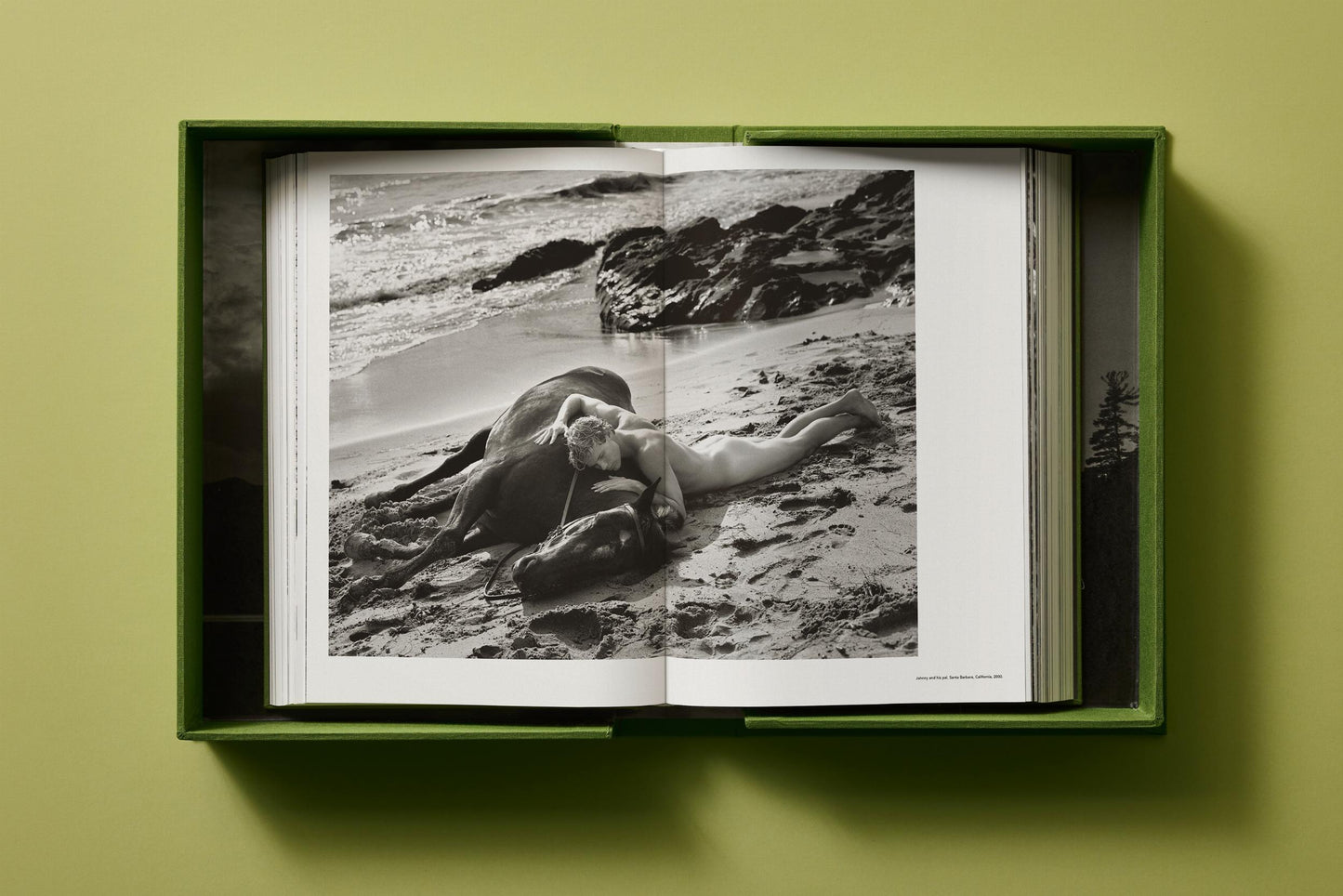 Bruce Weber. My Education. Art Edition No. 101–200, ‘Michael St. Pierre with Bonkers, Thousand Oaks, California’, 2004 (German, French, English)