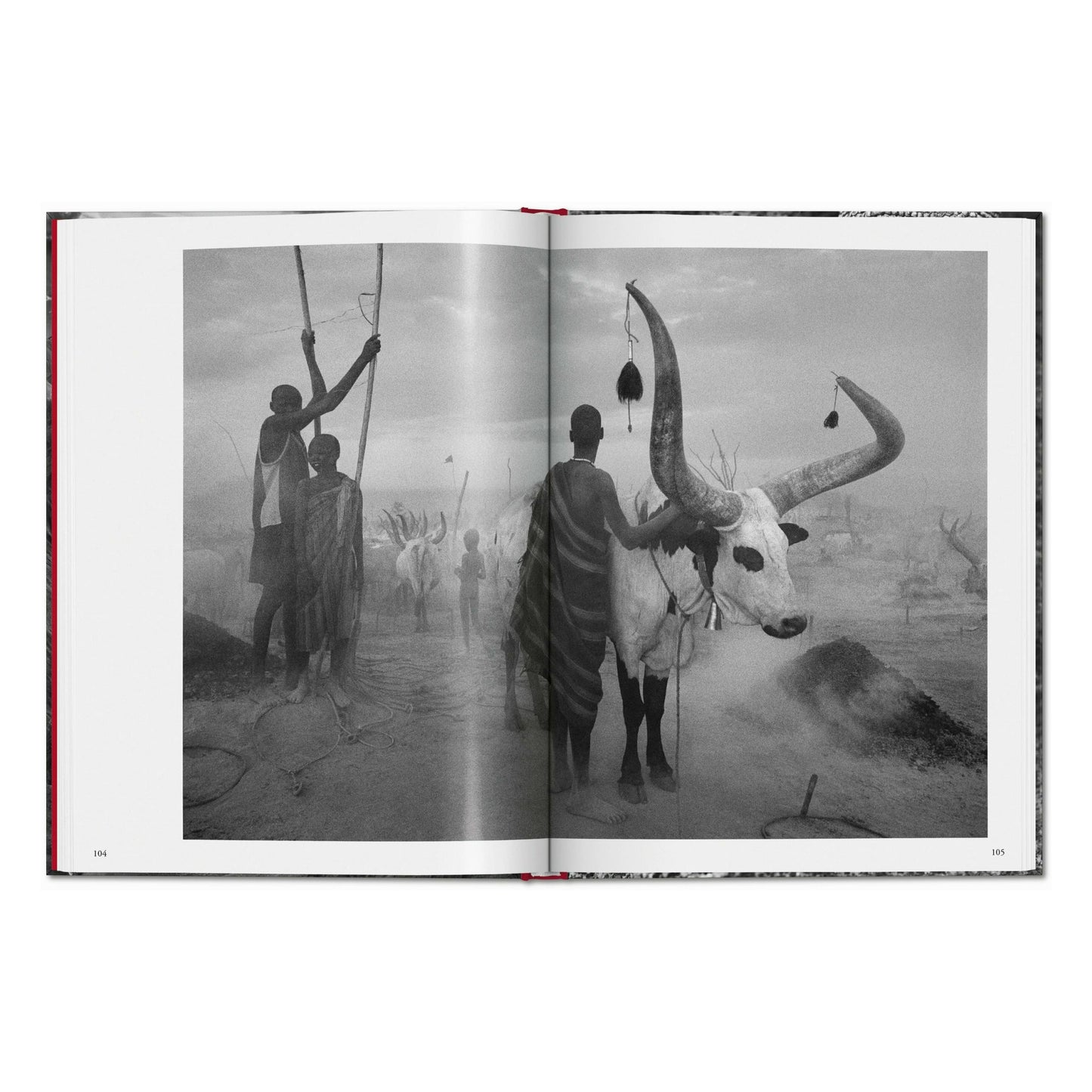 Sebastião Salgado. Genesis (French)