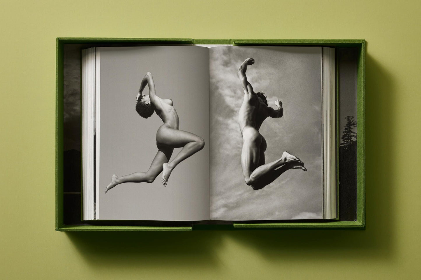 Bruce Weber. My Education. Art Edition No. 101–200, ‘Michael St. Pierre with Bonkers, Thousand Oaks, California’, 2004 (German, French, English)
