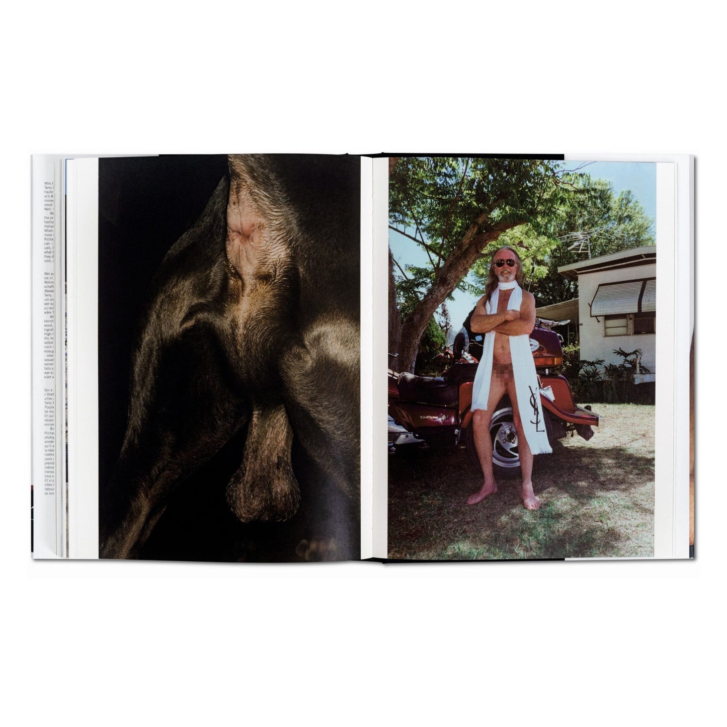 Terry Richardson. Terryworld, Art Edition No. 501–750 ‘Vanessa’ (German, French, English) (AP)