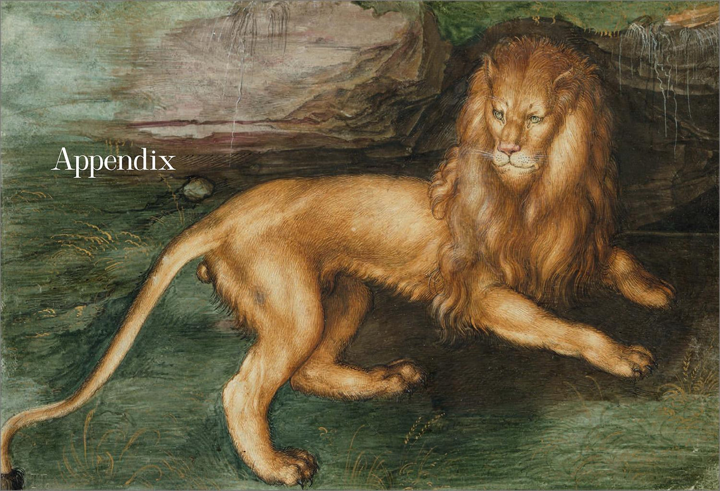 Albrecht Dürer. The Complete Paintings. Selected Drawings and Prints (English)