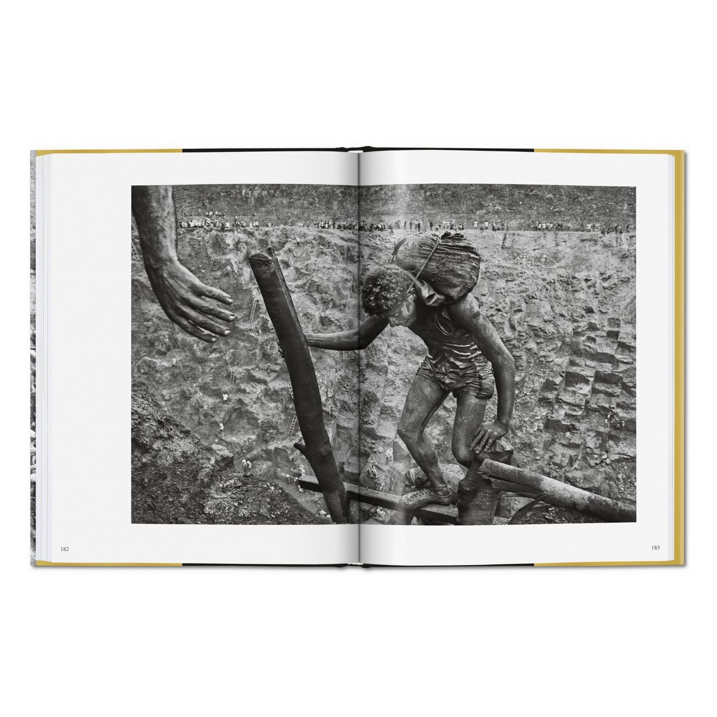 Sebastião Salgado. Gold (German, French, English)