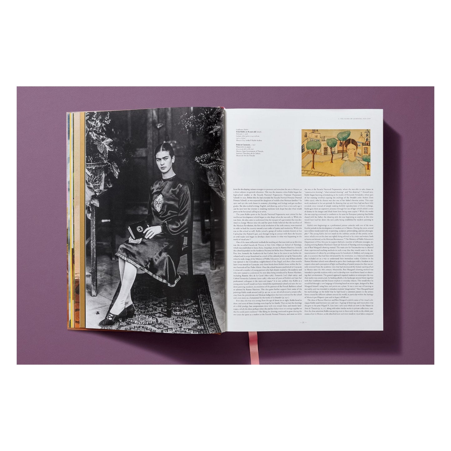 Frida Kahlo. Toute l'œuvre peinte (French)