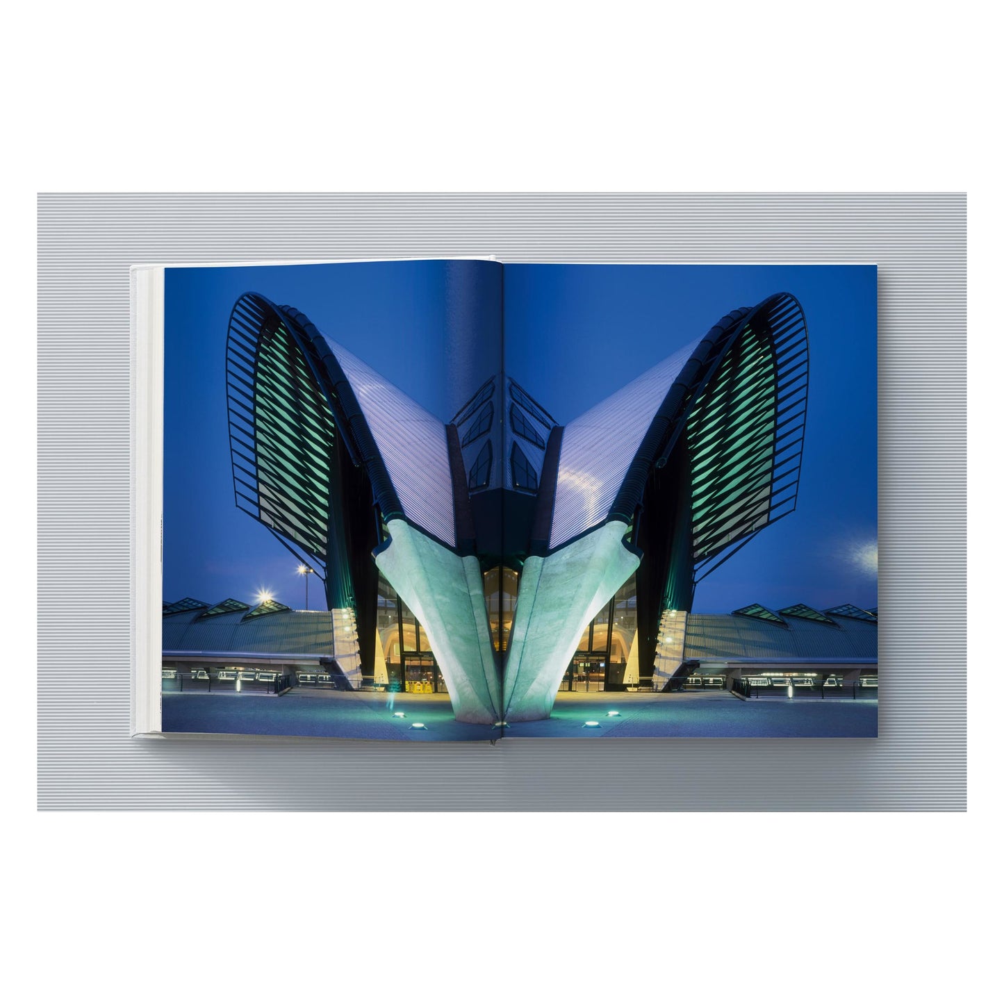 Calatrava. Complete Works 1979–Today. Art Edition 'Transfigured Tree. Messenger of Light', 2023 (German, French, English)