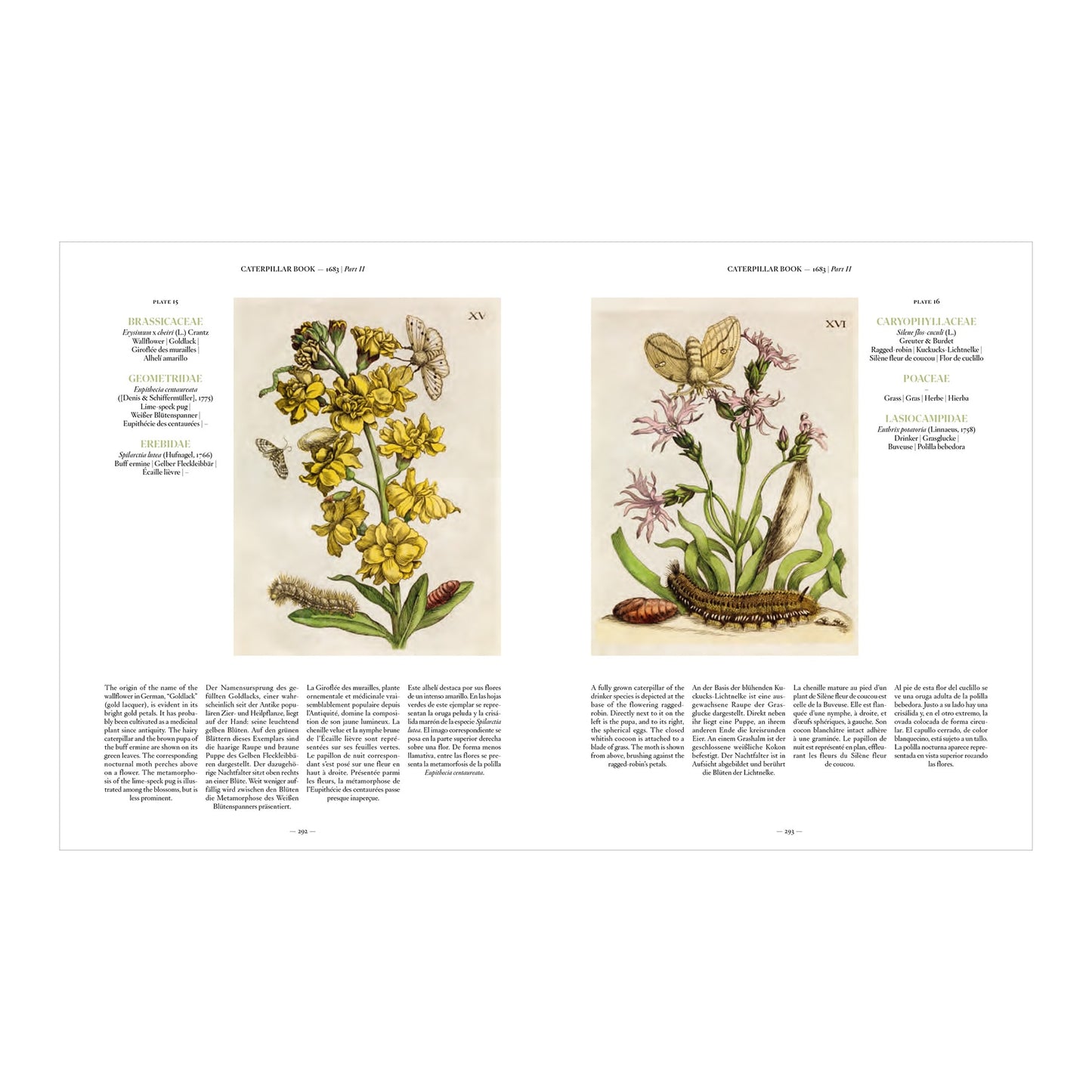 Merian (German, Spanish, French, English)
