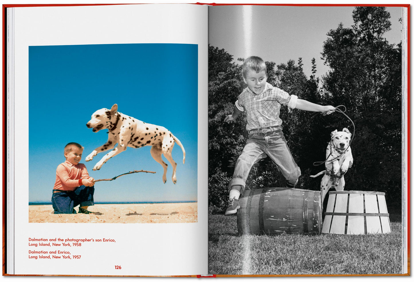 Walter Chandoha. Dogs. Photographs 1941–1991 (English)