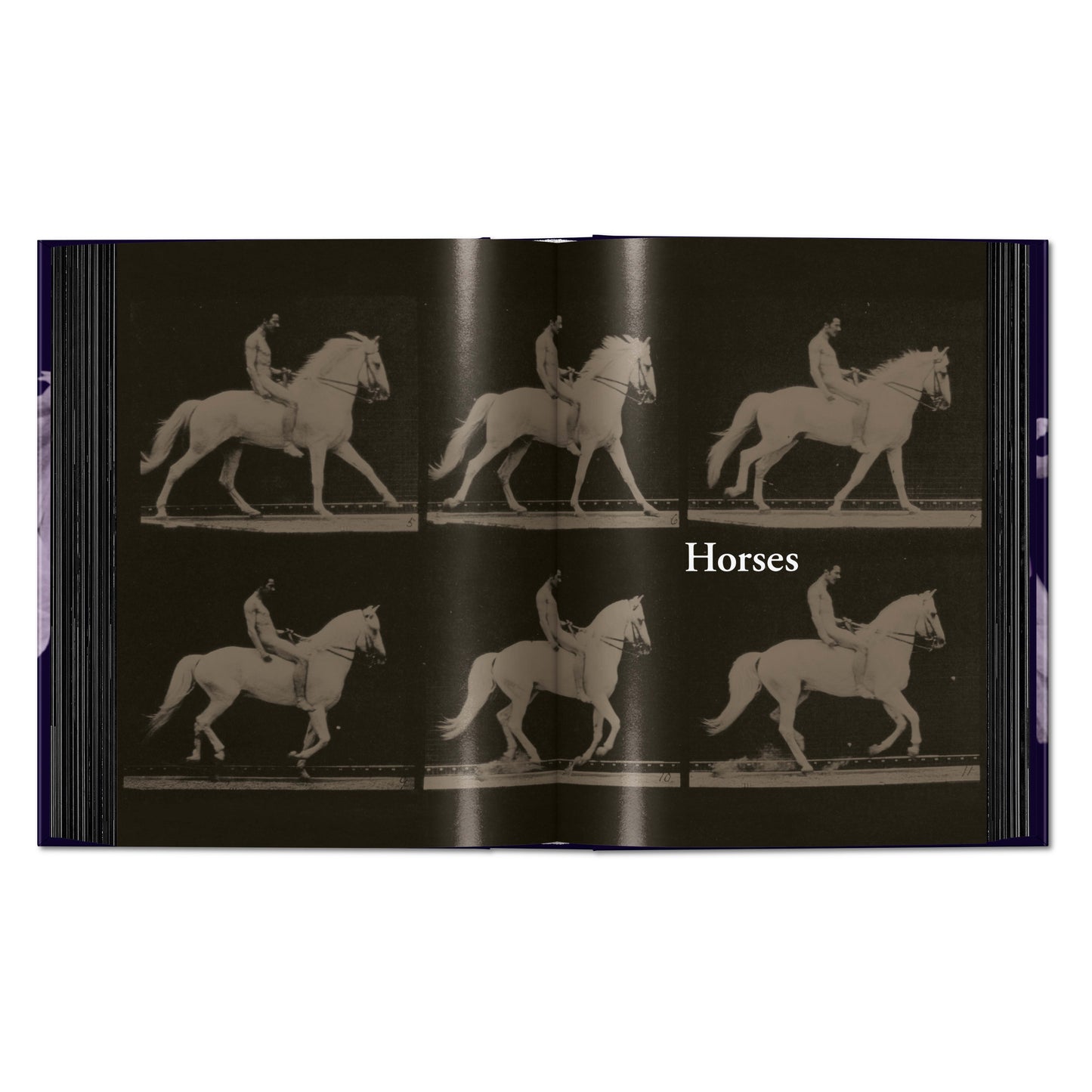 Muybridge. The Human and Animal Locomotion Photographs. 45th Ed. (German, French, English)