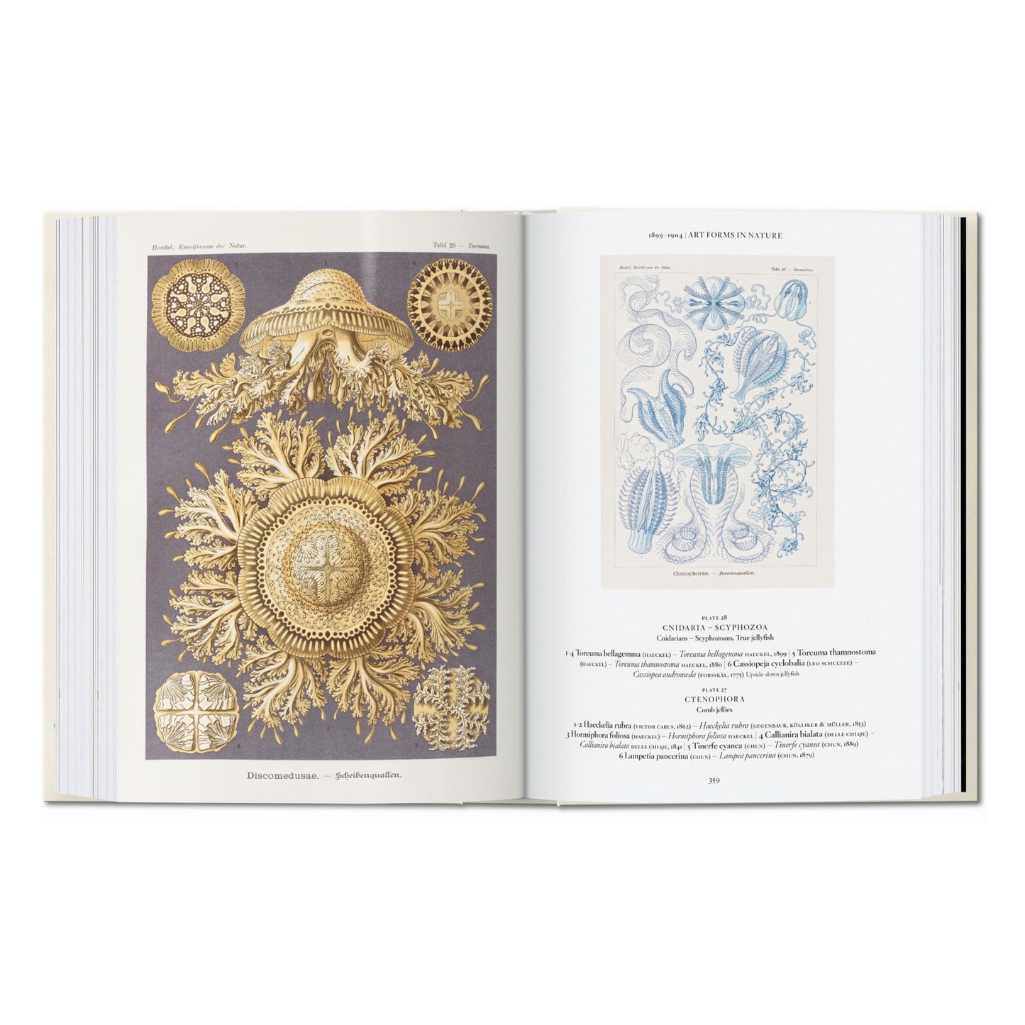 L’art et la science de Ernst Haeckel. 40th Ed. (French)