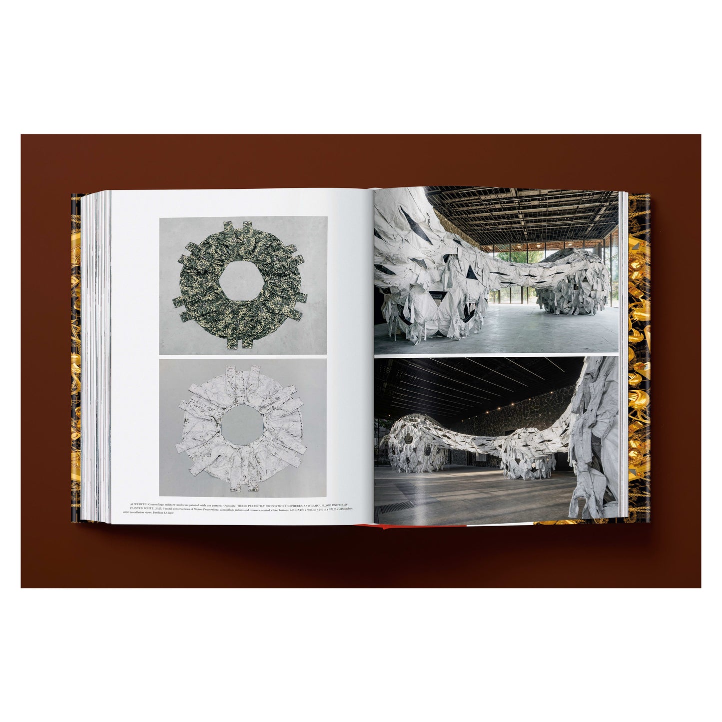 Ai Weiwei. Updated Edition (German, French, English)