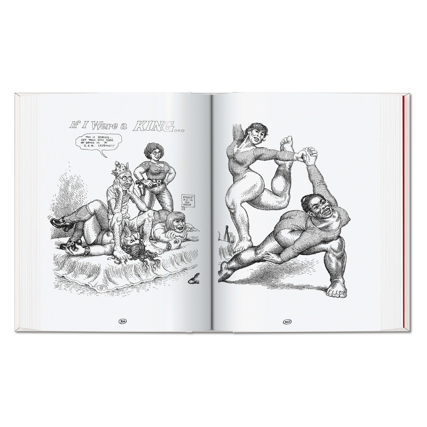 Robert Crumb. Sketchbook Vol. 4. 1982–1989 (English)