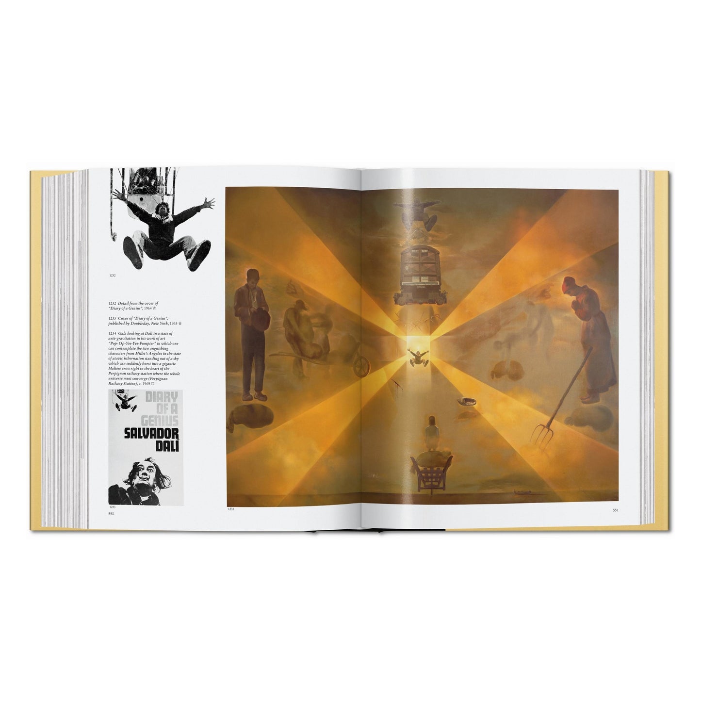 Dalí. The Paintings (English)