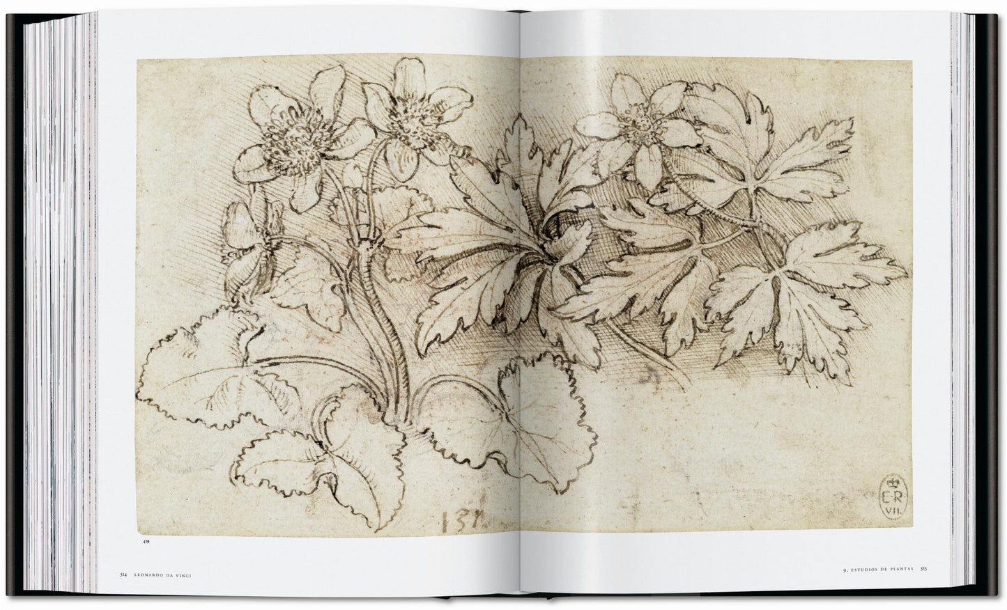 Leonardo. The Complete Paintings and Drawings (English)