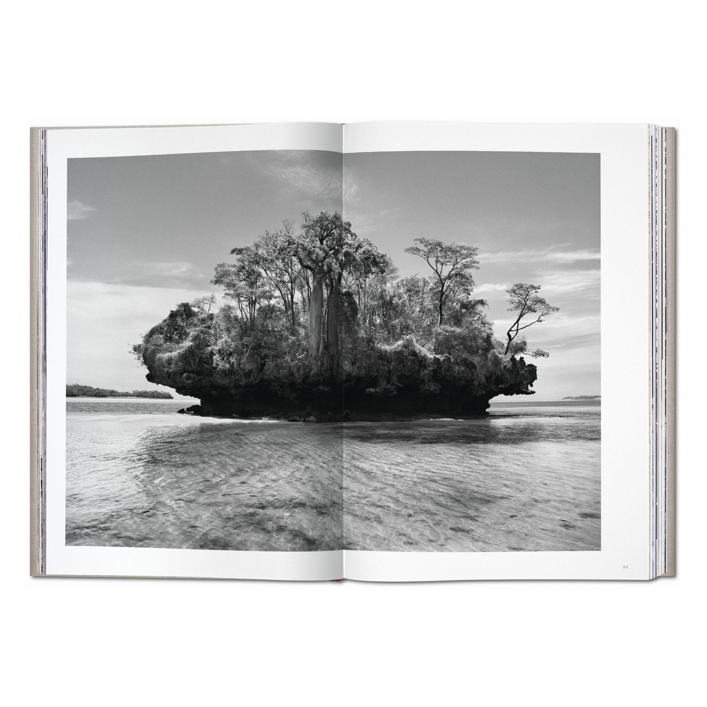 Sebastião Salgado. Genesis (English)