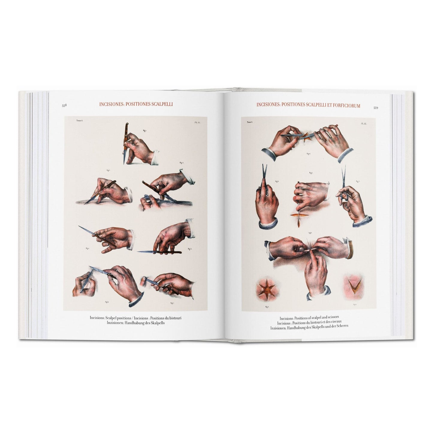 Bourgery. Atlas of Human Anatomy and Surgery (German, French, English)