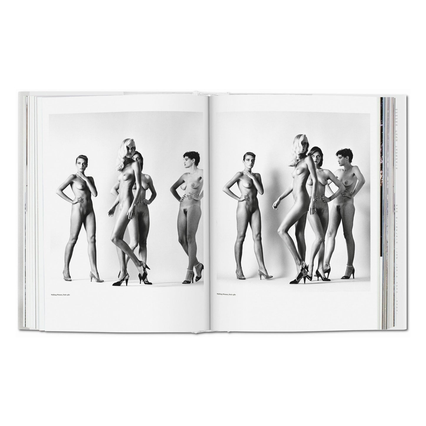 Helmut Newton. BABY SUMO (German, French, English)