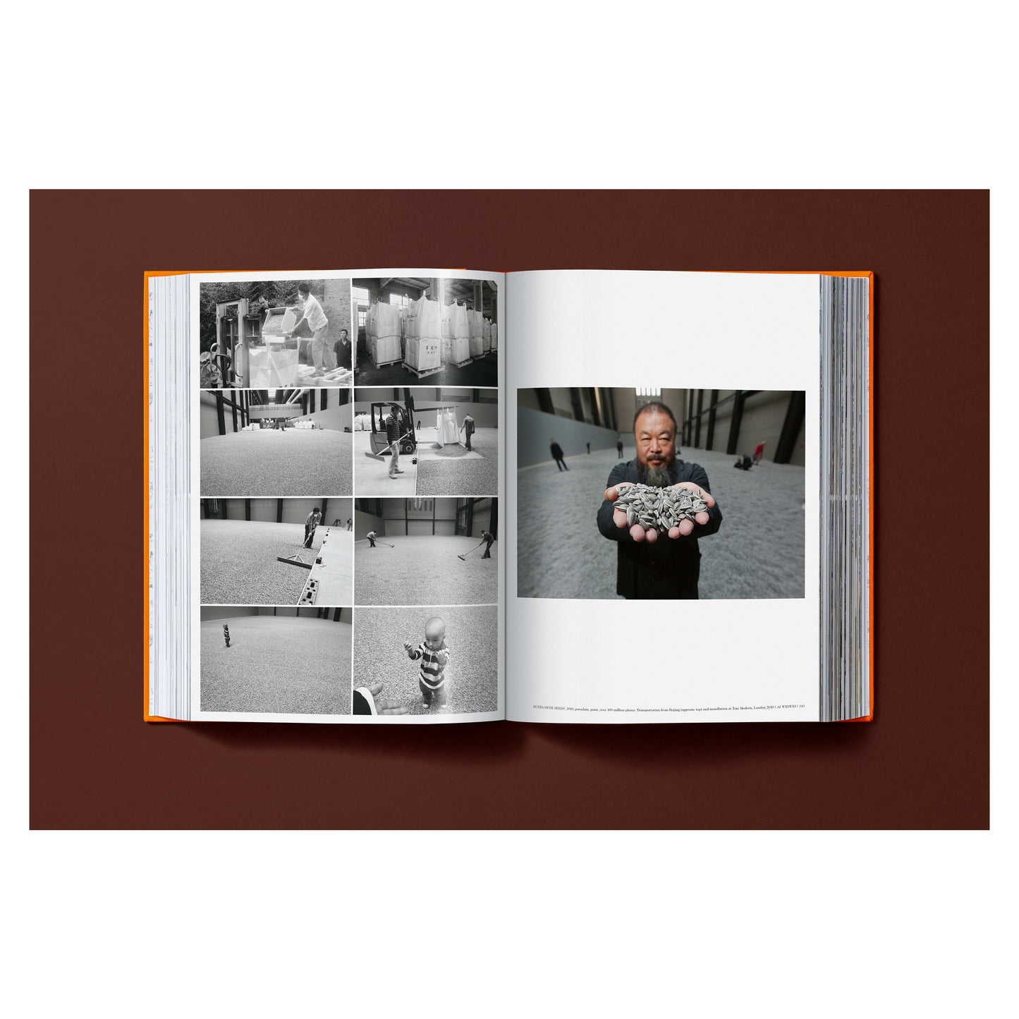 Ai Weiwei. Updated Edition. Art Edition No. 1–100 ‘Ai Weiwei in Pixels’, 2026 (German, French, English) (AP)