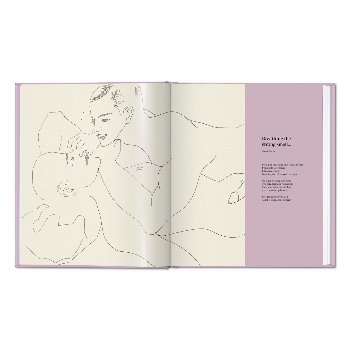 Andy Warhol. Love, Sex, and Desire. Drawings 1950–1962 (German, French, English)