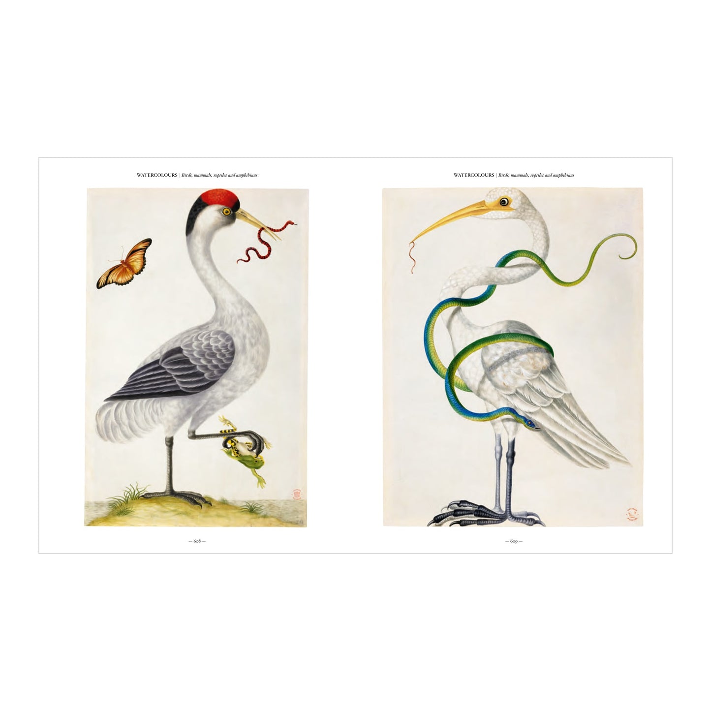 Merian (German, Spanish, French, English)