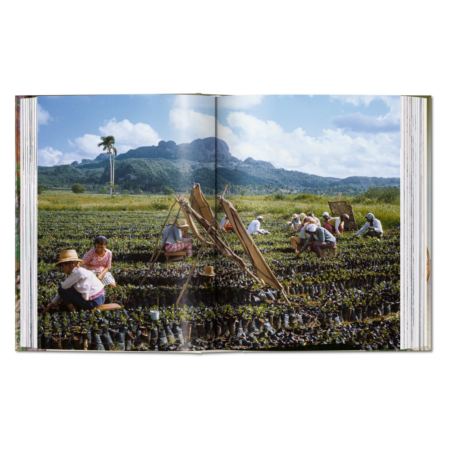 Lee Lockwood. Castro's Cuba. 1959–1969. 45th Ed. (English)