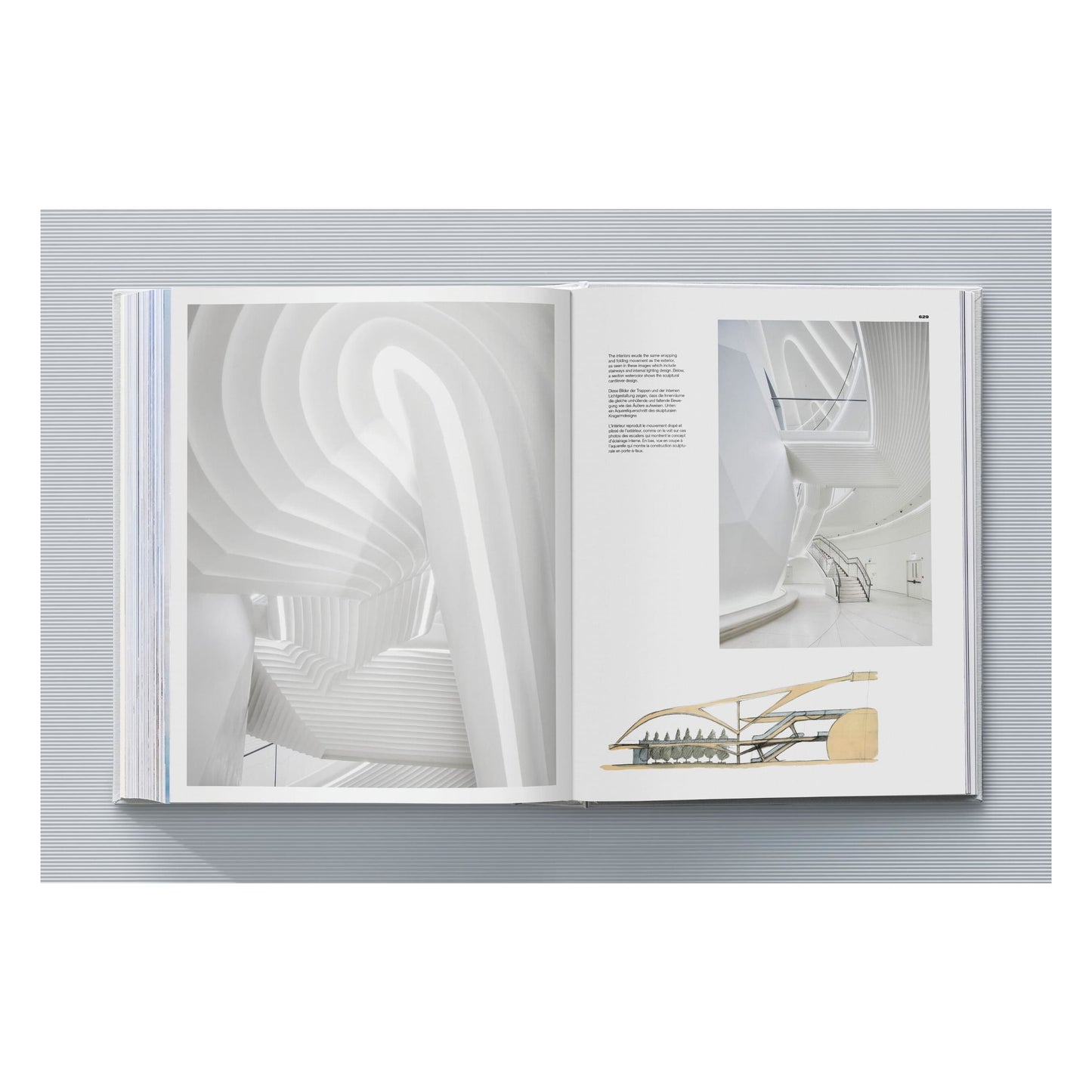 Calatrava. Complete Works 1979–Today. Art Edition 'Transfigured Tree. Messenger of Light', 2023 (German, French, English)
