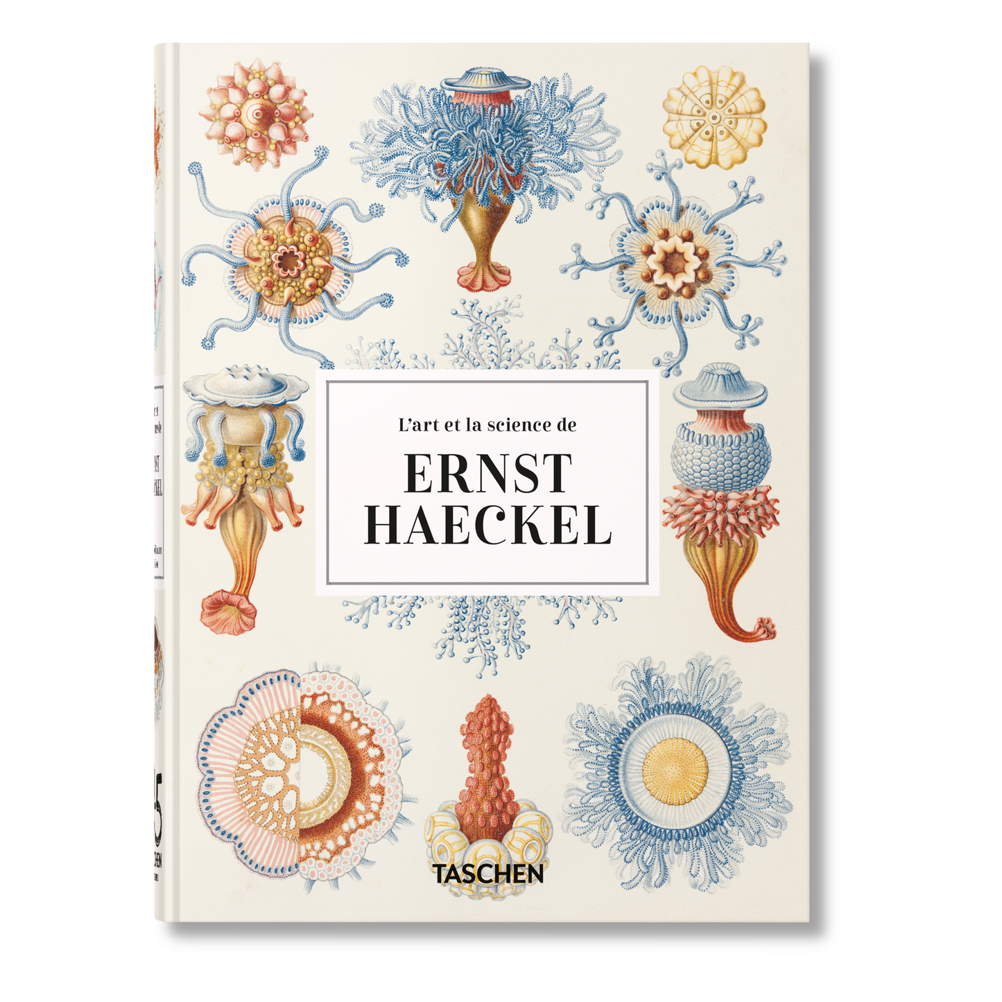 L’art et la science de Ernst Haeckel. 40th Ed. (French)