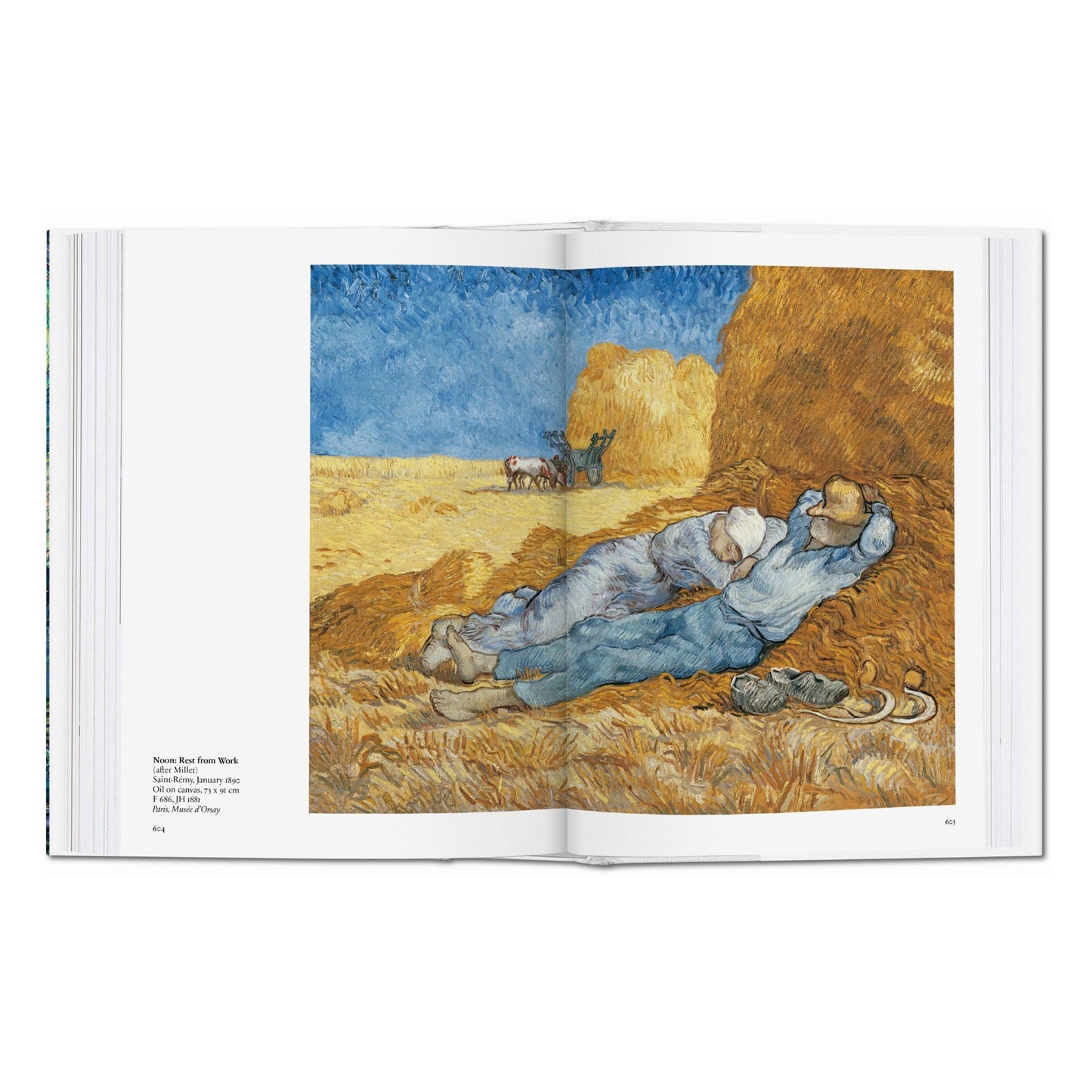 Van Gogh. L'Œuvre complet - Peinture (French)