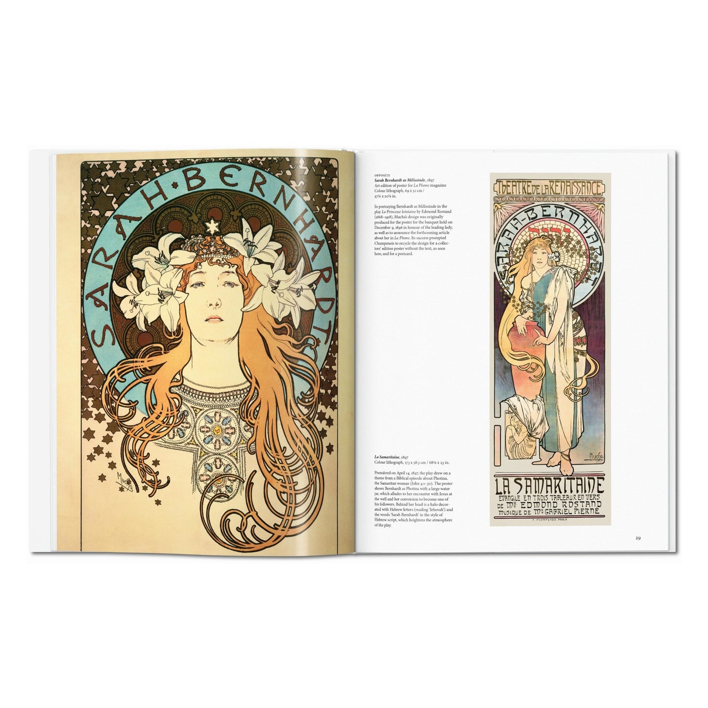 Mucha (Spanish)