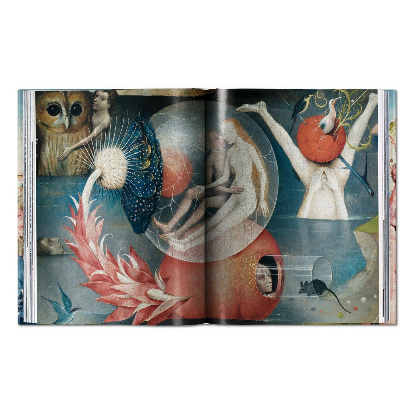 Hieronymus Bosch. The Complete Works (English)