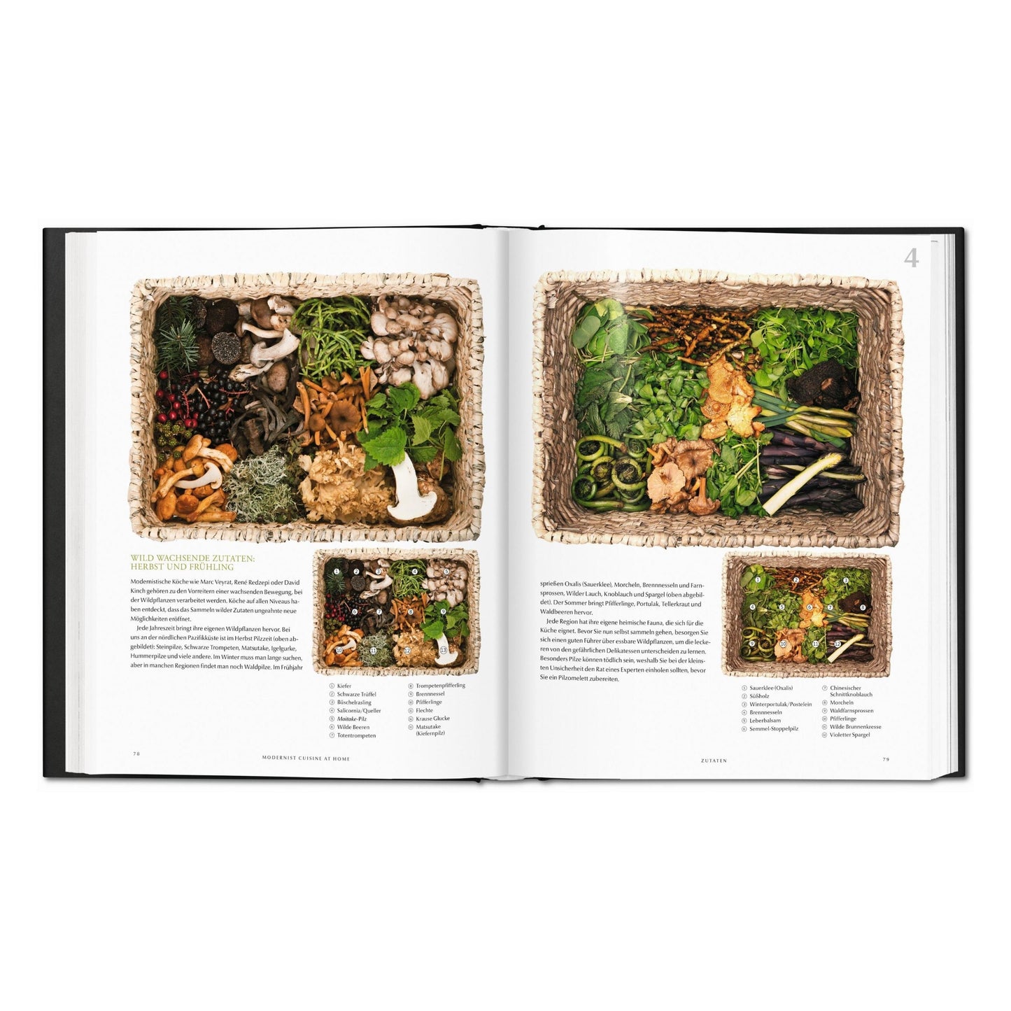 Modernist Cuisine at Home (Spanish)